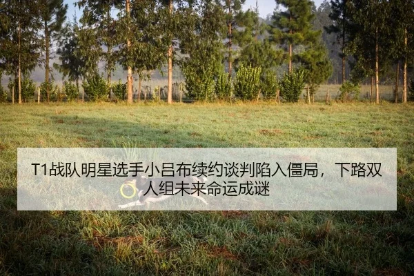 T1战队明星选手小吕布续约谈判陷入僵局，下路双人组未来命运成谜